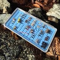 Fly fishing fly box